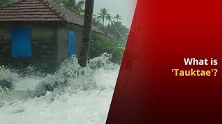 All You Need To Know About Arabian Sea Cyclone 'Tauktae' | NewsMo