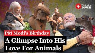 PM Modi Birthday: As PM Modi Celebrates his 74th Birthday, discover his deep affection for animals