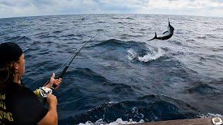 Black Marlin Mayhem