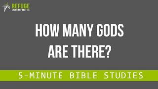 How Many Gods Are There?