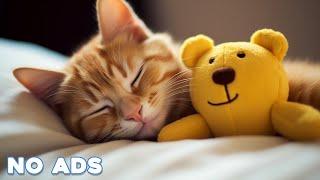 12 Hours Calming Music for Cats  Sleep Music for Cats No Ads  Sleep Music for Anxious Cats