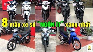 8 mẫu xe số và côn tay "NGỐN" ít XĂNG nhất VIỆT NAM ▶️ Giá cực TỐT -  Tiết kiệm XĂNG  TOP 5 ĐAM MÊ