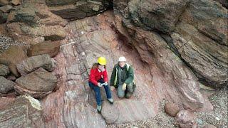 377 Million Year Old Tree Fossil Excavation - English Riviera UNESCO Global Geopark