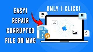 How to repair corrupted MP3/MP4/PNG and other files on MAC