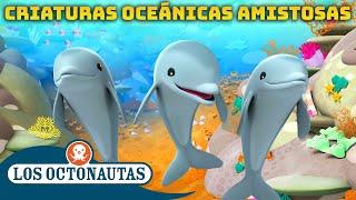 Los Octonautas - 🪸 Criaturas oceánicas amistosas  | Mes Antiacoso 🫶 | Episodios Completos