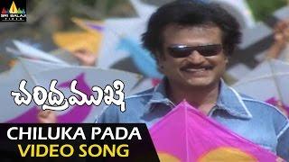 Chandramukhi Video Songs | Chiluka Pada Pada Video Song | Rajinikanth, Jyothika, Nayanatara