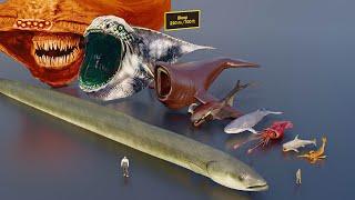 Largest sea creatures size comparison (3D animation)  #animation