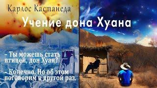 Учение дона Хуана. Путь знания индейцев яки. Карлос Кастанеда.