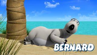 ‍️ BERNARD | What does BERNARD do during the summer?| Full Episodes | VIDEOS and CARTOONS FOR KIDS