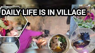 Daily life is in village || Sembuchha Vlogs