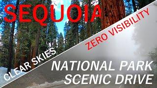 Sequoia National Park Scenic Drive Through Generals Highway