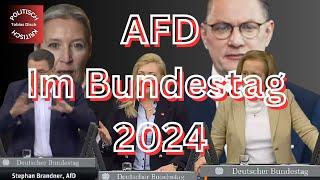  DAS BESTE der AFD aus dem BUNDESTAG 2024