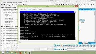 Packet Tracer - Using Show Commands