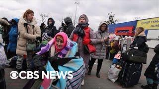 Humanitarian relief group director on helping Ukrainian refugees in Romania