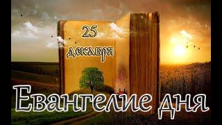 Апостол, Евангелие и Святые дня. Свт. Спиридо́на, епископа Тримифунтского, чудотворца. (25.12.24)