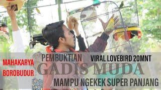 PENAMPILAN LOVEBIRD VIRAL GADIS MUDA SESI PERTAMA DAN KEDUA DI MAHAKARYA BOROBUDUR