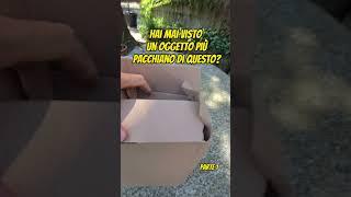 🩰secondo te cosa c'è nel pacco? #unboxing #funny