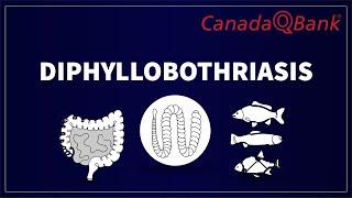 Diphyllobothriasis Explained: Infections, Symptoms, Diagnosis & Treatment | CanadaQBank