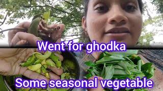 went for ghodka/some seasonal vegetable/Goan youtuber/konkani vlog