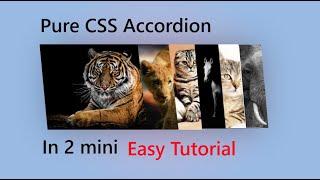 image accordion slider html and css only using || using Html and css only  simple way #newtoyou