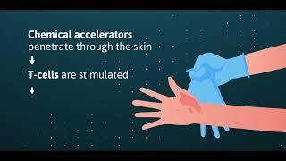 Ansell  - Avoid Type IV Allergies with Accelerator Free Gloves