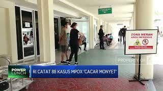 RI Catat 88 Kasus Mpox 'Cacar Monyet'