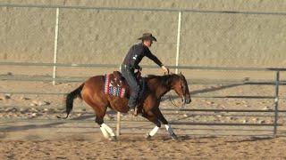 Martin Muehlstaetter - Motivating a Lazy Horse