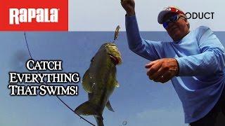 Rapala® Original Floating® Minnow