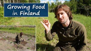 Growing Food in Freezing Finland | My First Year