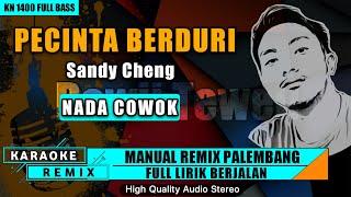 PECINTA BERDURI_Sandy Cheng || KARAOKE REMIX PALEMBANG