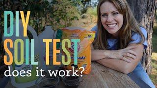 Easy DIY Soil Test