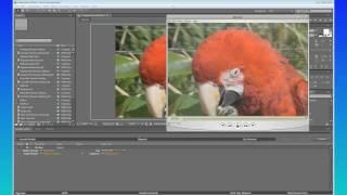 After Effects Quicktips #2 H 264 Gamma Correction