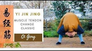 Shaolin Qi Gong - Yi Jin Jing  - Muscle Tendon Change Classic - 易筋经 (Full 12 Exercises)