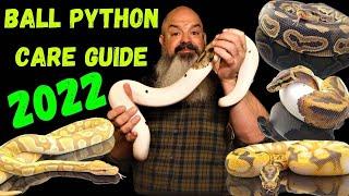 Ball Python Care Guide for Beginners