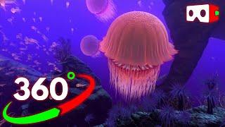 VR 360° Video The Blu  Virtual Reality Underwater Experience