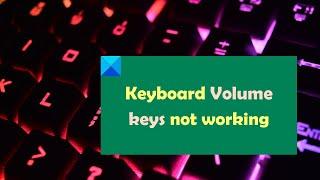 Keyboard Volume keys not working in Windows 11/10