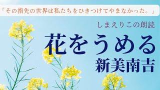 【お休み前の朗読】新美南吉「花をうめる」教養・作業用BGMにも【元NHKフリーアナウンサーしまえりこ】