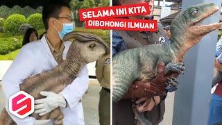 Katanya Sudah Punah, Penampakan Dinosaurus Ini Bikin Gempar Orang-orang..