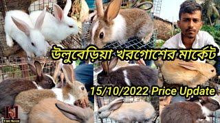 Current Exotic Rabbit's Price Update at Uluberia Pet Market || Uluberia Pet Market || One Moon