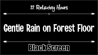 Gentle Rain on Forest Floor 12 hours, Dark Screen, Relaxation, Sleep, Calm, Relax,  Black Screen