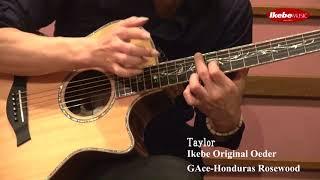 【池部楽器店】Taylor Ikebe Original Order GAce-Honduras Rosewood Played by 福成修治