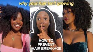 7 reasons why your Type 4 hair is NOT GROWING | HOW TO GROW YOUR HAIR FASTER