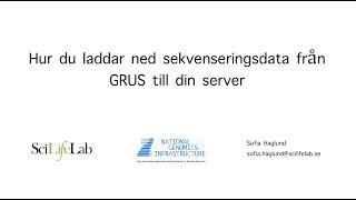 Demo-video: Att ladda ned NGI data från GRUS till din egen server