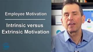 Intrinsic and Extrinsic Employee Motivation Factors