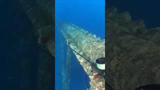 100 Feet Dive To Spear A HUGE Grouper! #fishing #fyp #fypシ゚viral