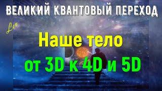 Наше тело — от 3D к 4D и 5D