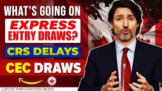 Express Entry Draws? CEC Draws & Low CRS Delays | Canada Immigration