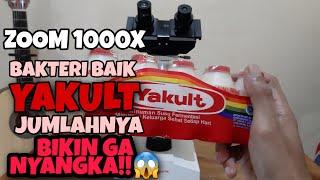 ZOOM 1000X BAKTERI YAKULT JUMLAHNYA BIKIN GA NYANGKA!!!