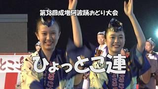 真夏の夜の阿波踊り「ひょっとこ連」Awa Odori Dance - 第38回成増阿波おどり大会（2024.8.1）