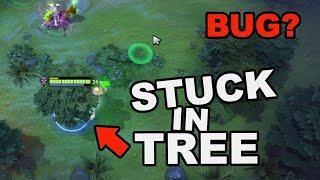 Dota 2 Witch Doctor Stuck In Tree Because of Hoodwink Bug